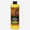 Horse LeMieux Respiratory | Air Power