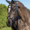 Horse LeMieux Bridles | Arika Drop Bridle Black/Silver