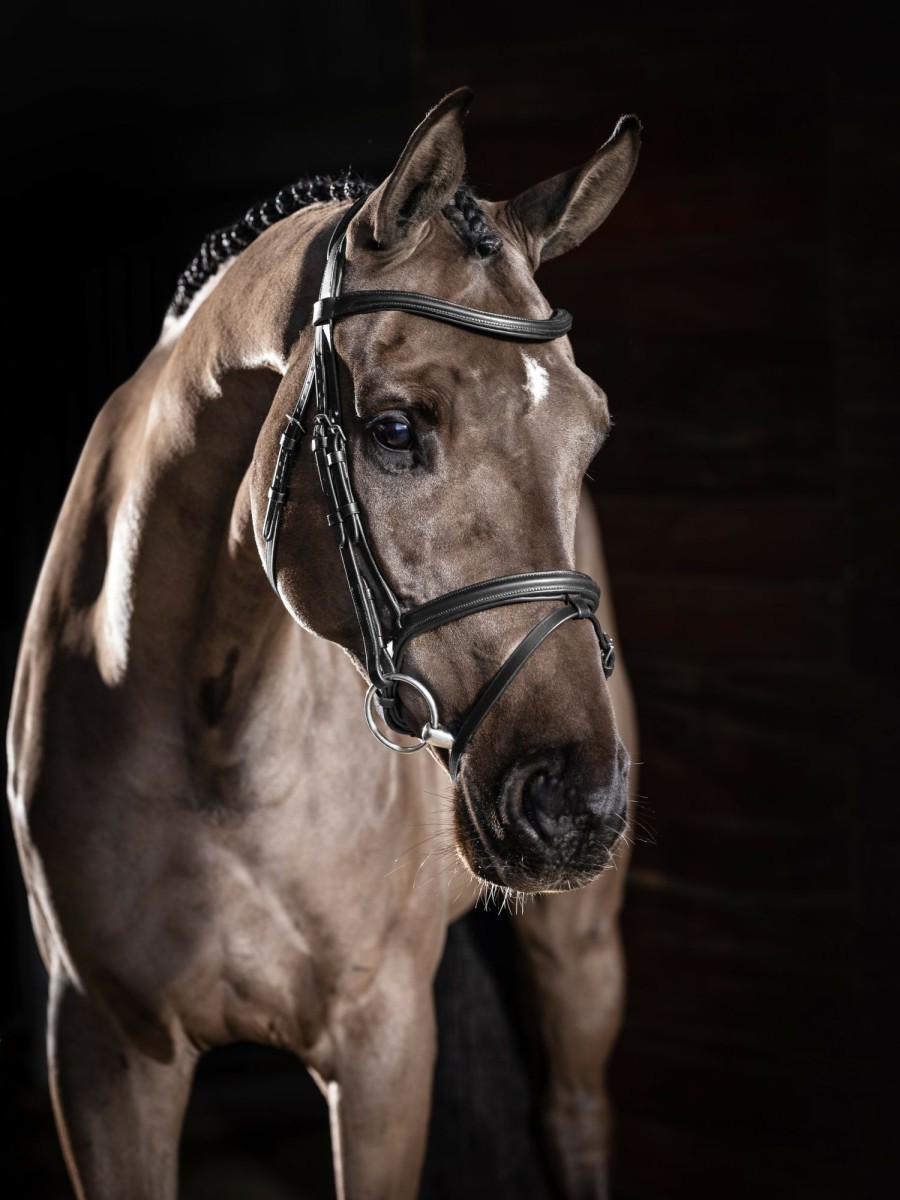 Horse LeMieux Martingales & Breastplates | Arika Running Martingale Black/Silver