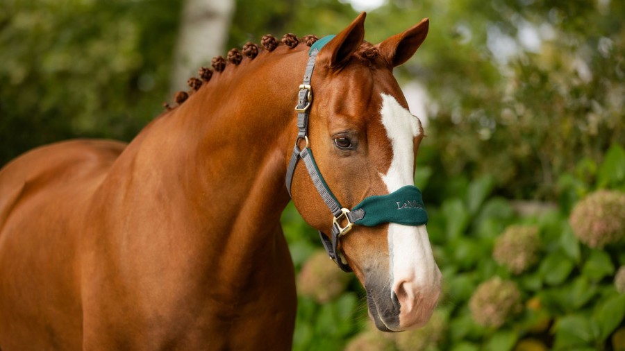 Horse LeMieux Vogue Headcollars | Vogue Headcollar & Leadrope Spruce