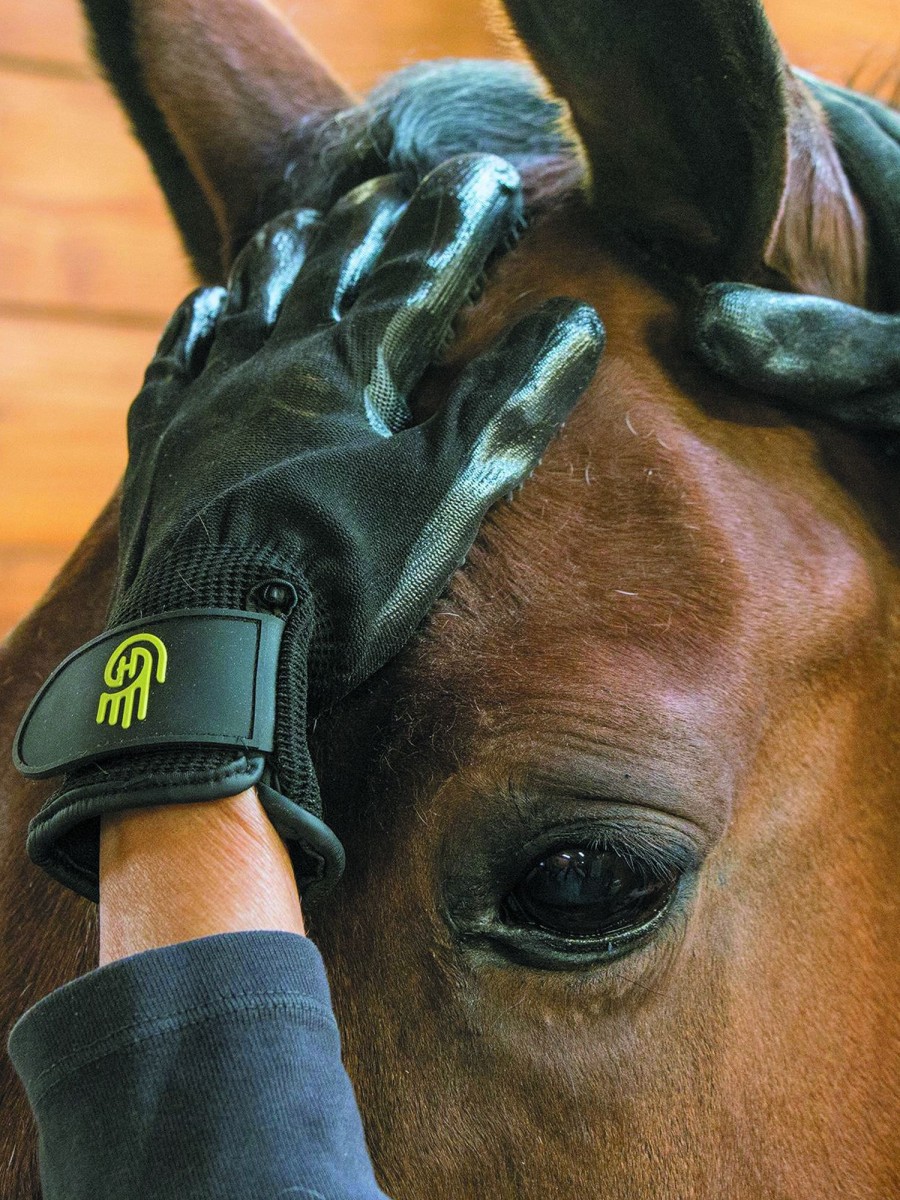 Horse LeMieux Brushes | Hands On Glove