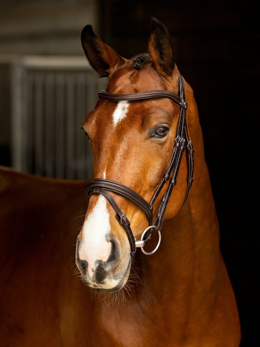 Horse LeMieux Bridles | Arika Flash Bridle Brown/Silver