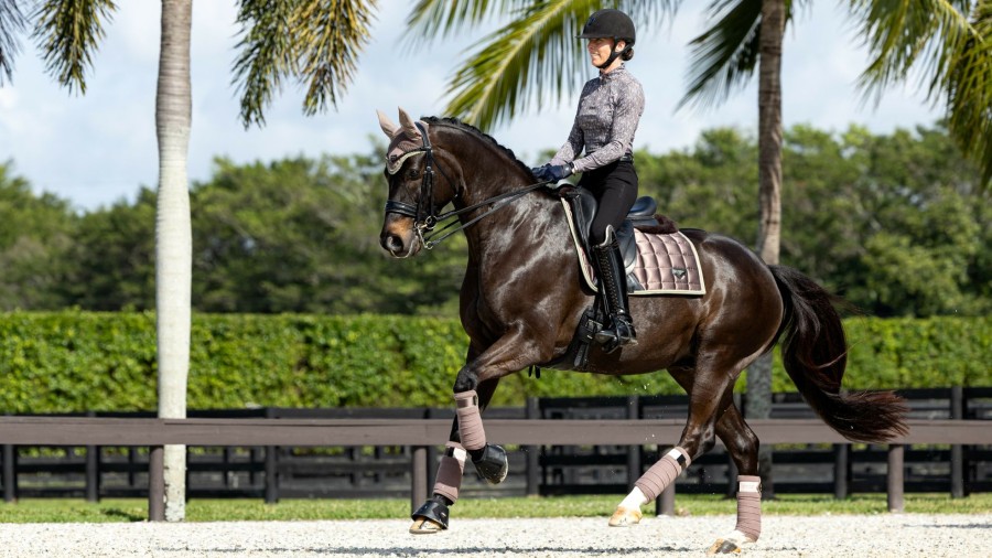 Saddle Pads LeMieux | Merino Loire Classic Dressage Square Walnut