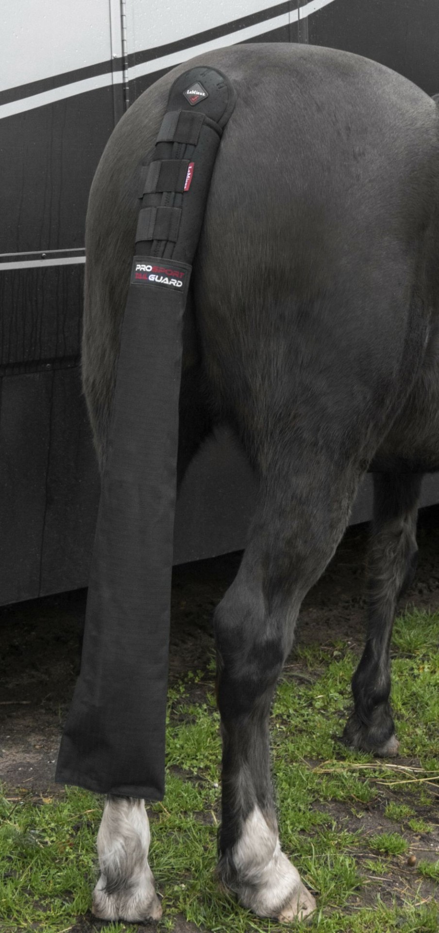 Horse LeMieux Accessories | Tail Guard With Bag Black One Size