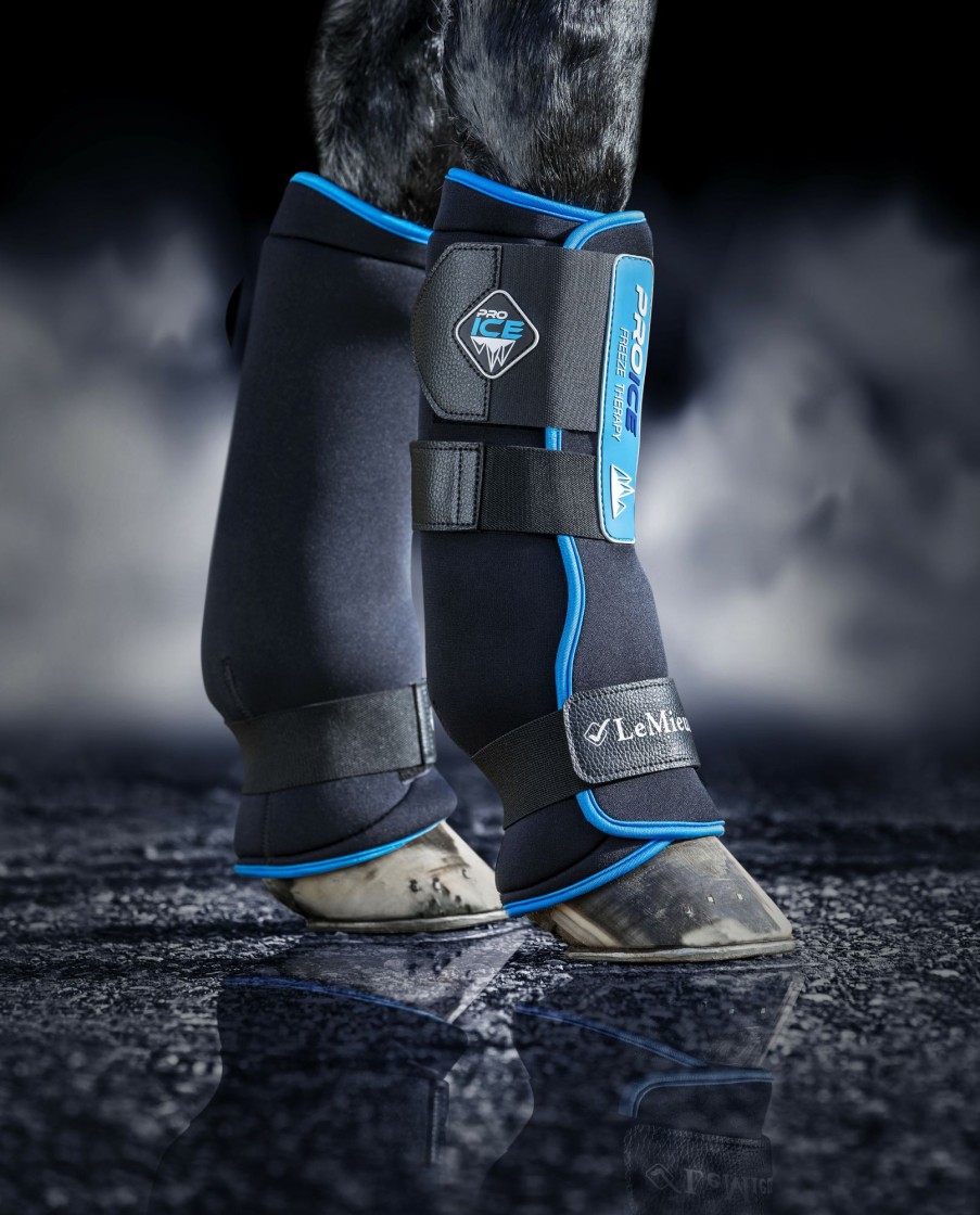 Horse LeMieux Therapy Boots | Proice Freeze Boots