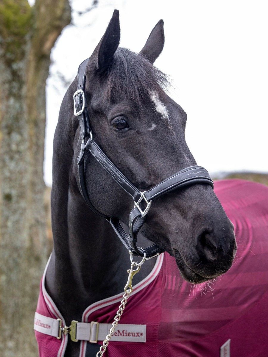 Horse LeMieux Leather Headcollars | Stitched Leather Headcollar Black