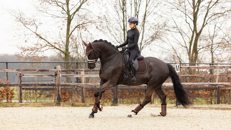 Saddle Pads LeMieux | Crystal Suede Dressage Square Brown