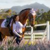 Saddle Pads LeMieux | Suede Dressage Square Wisteria