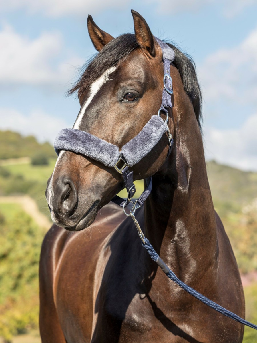 Horse LeMieux Comfort Headcollars | Comfort Headcollar Navy