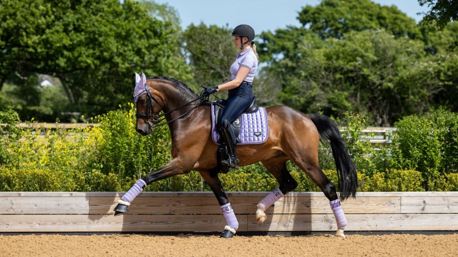 Horse LeMieux Loire Polo Bandages | Loire Polo Bandages Wisteria