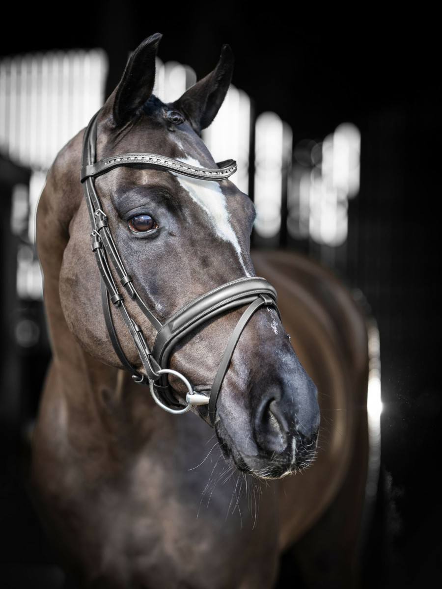 Horse LeMieux Bridles | Arika Dressage Bridle Black/Silver