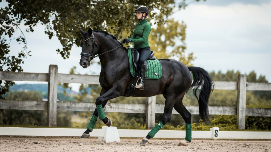 Saddle Pads LeMieux | Loire Memory Dressage Square Hunter Green