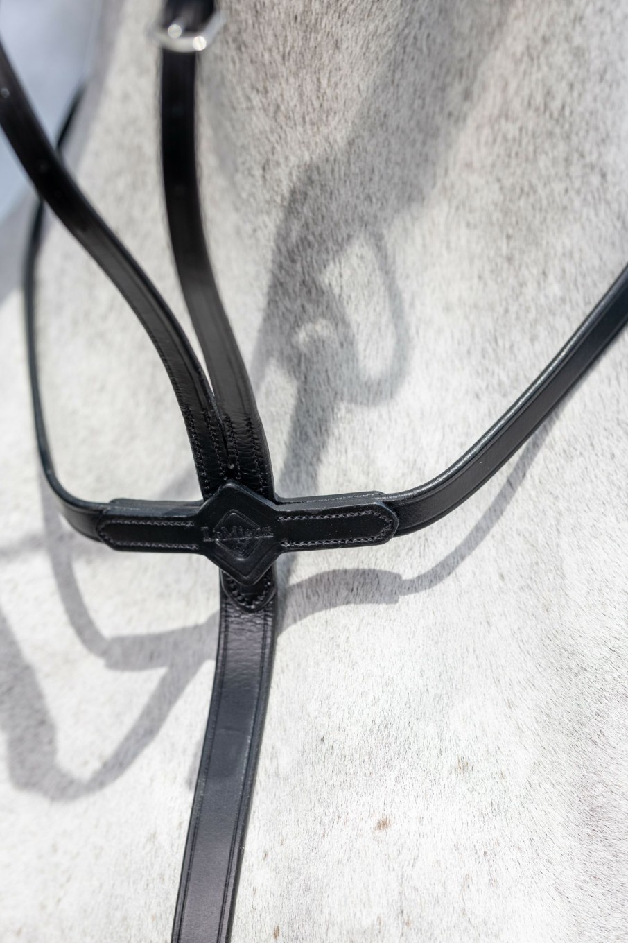 Horse LeMieux Martingales & Breastplates | Running Martingale Black