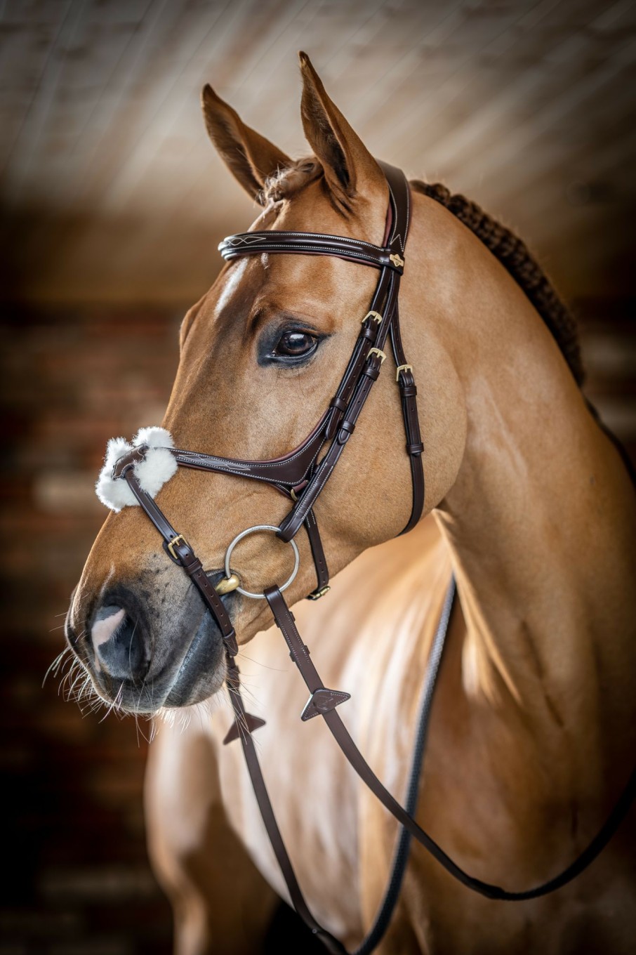 Horse LeMieux Bridles | Kudos Grackle Bridle Havana