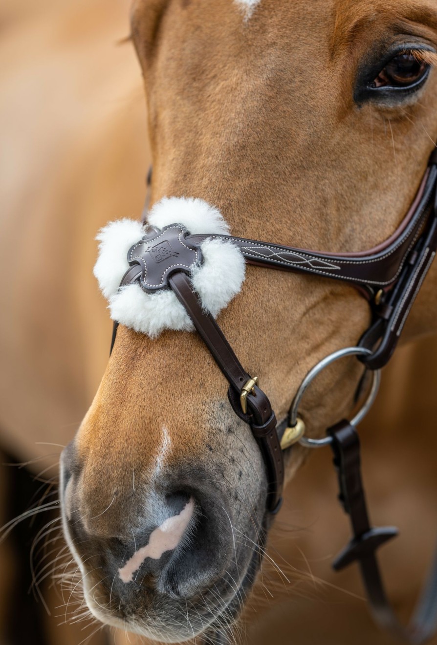 Horse LeMieux Bridles | Kudos Grackle Bridle Havana