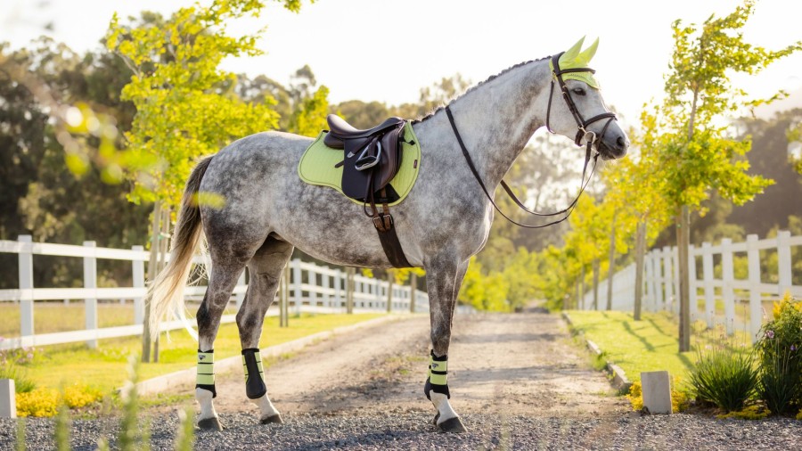 Saddle Pads LeMieux | Suede Gp Square Kiwi