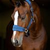 Horse LeMieux Vogue Headcollars | Vogue Headcollar & Leadrope Atlantic