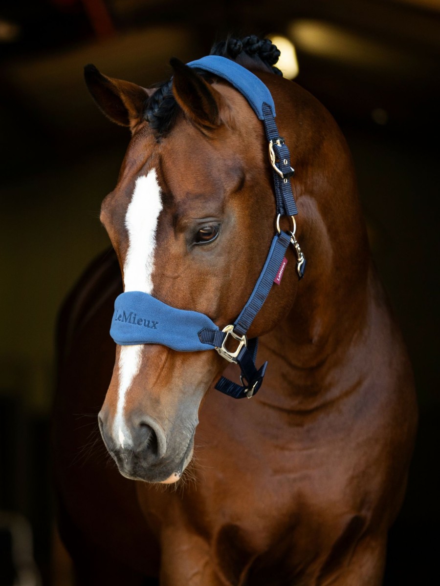 Horse LeMieux Vogue Headcollars | Vogue Headcollar & Leadrope Atlantic