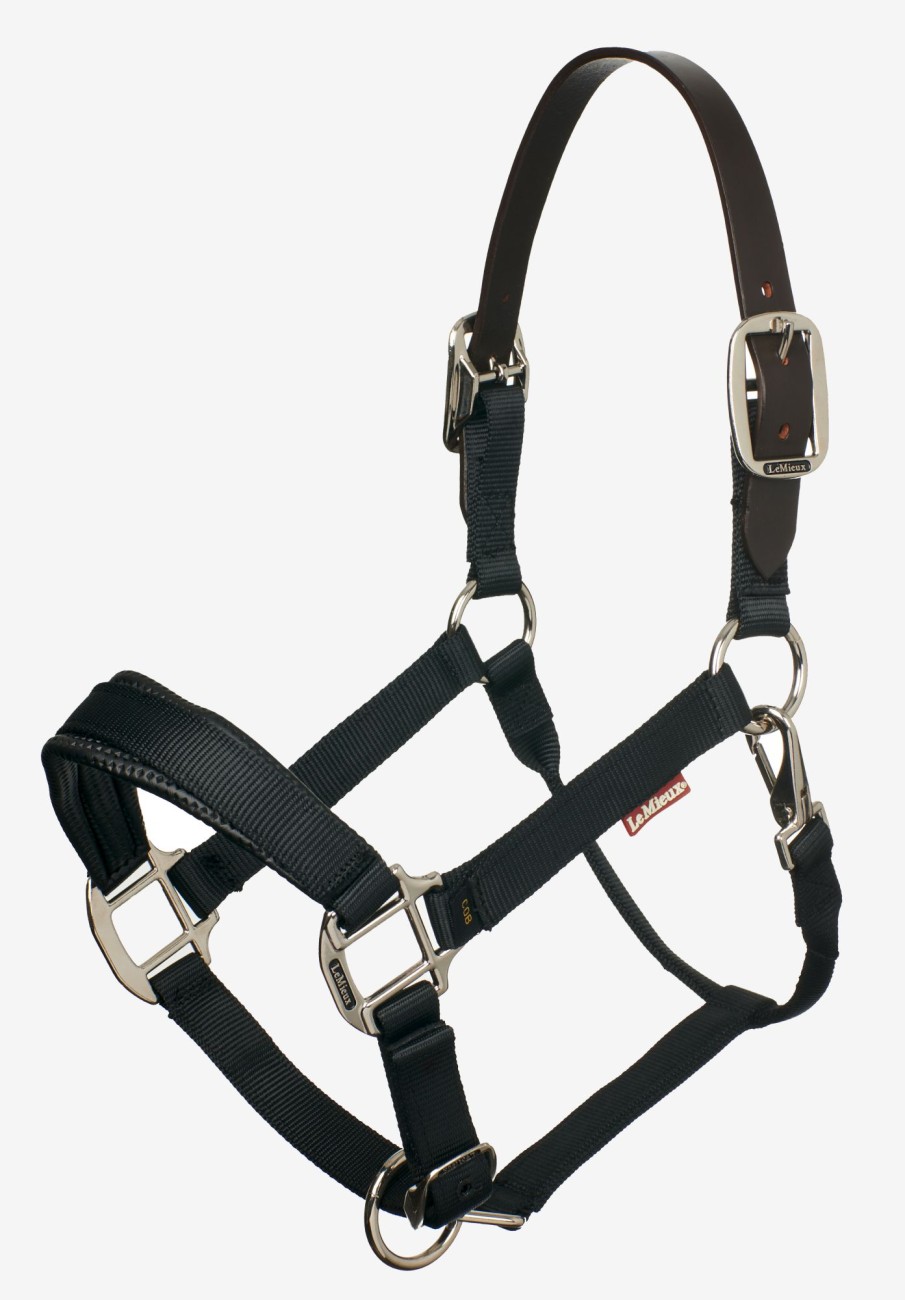 Horse LeMieux Safety Headcollars | Break Away Headcollar