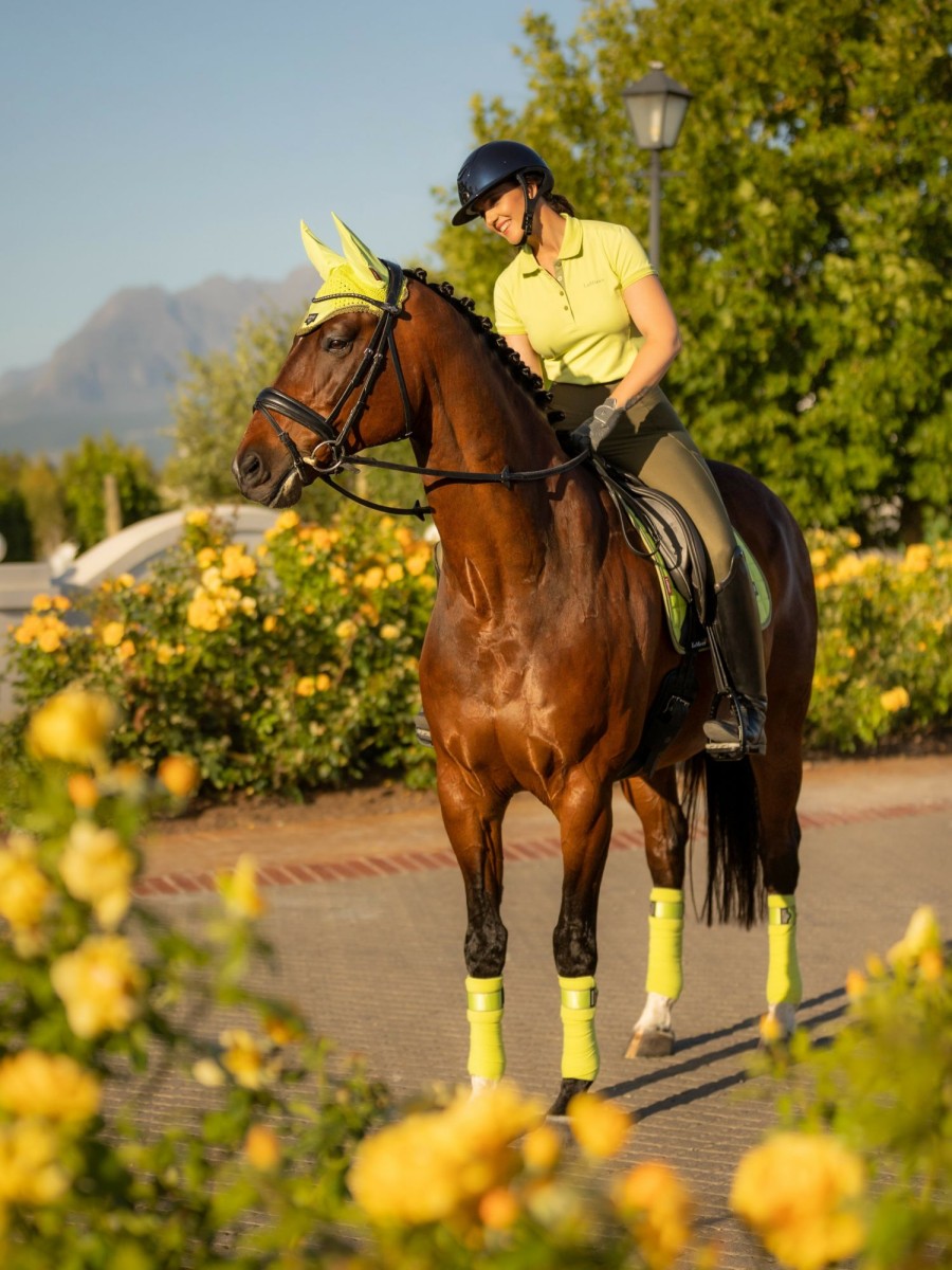 Horse LeMieux Loire Polo Bandages | Loire Polo Bandages Kiwi