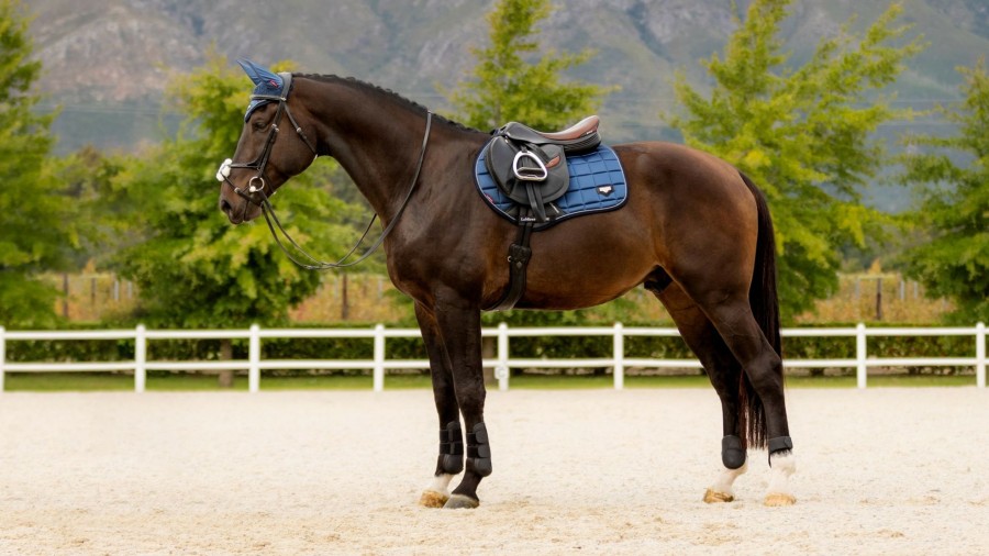 Saddle Pads LeMieux | Loire Classic Close Contact Square Atlantic