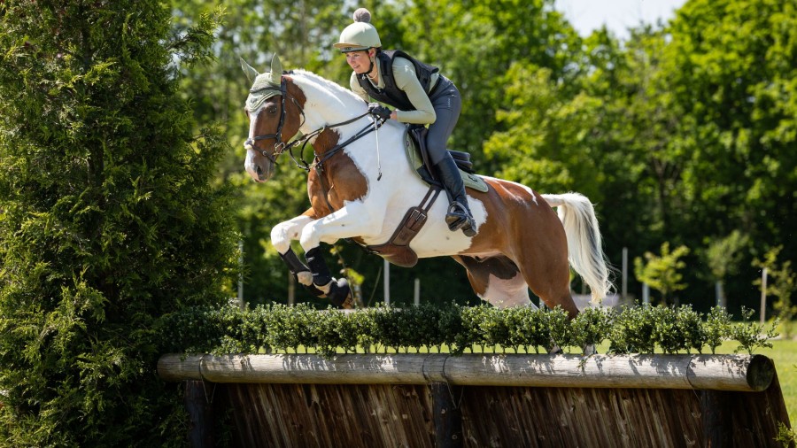 Saddle Pads LeMieux | Loire Classic Gp Square Fern