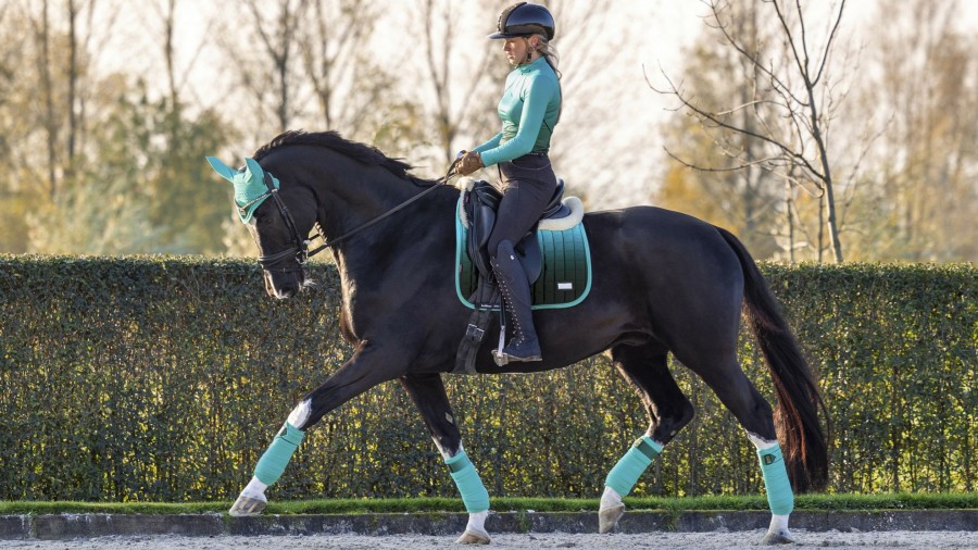 Saddle Pads LeMieux | Spectrum Dressage Square Azure