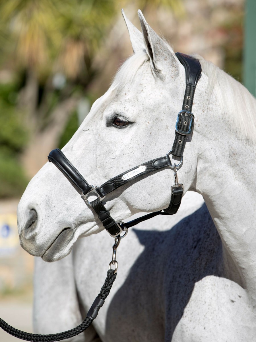 Horse LeMieux Leather Headcollars | Capella Headcollar Black