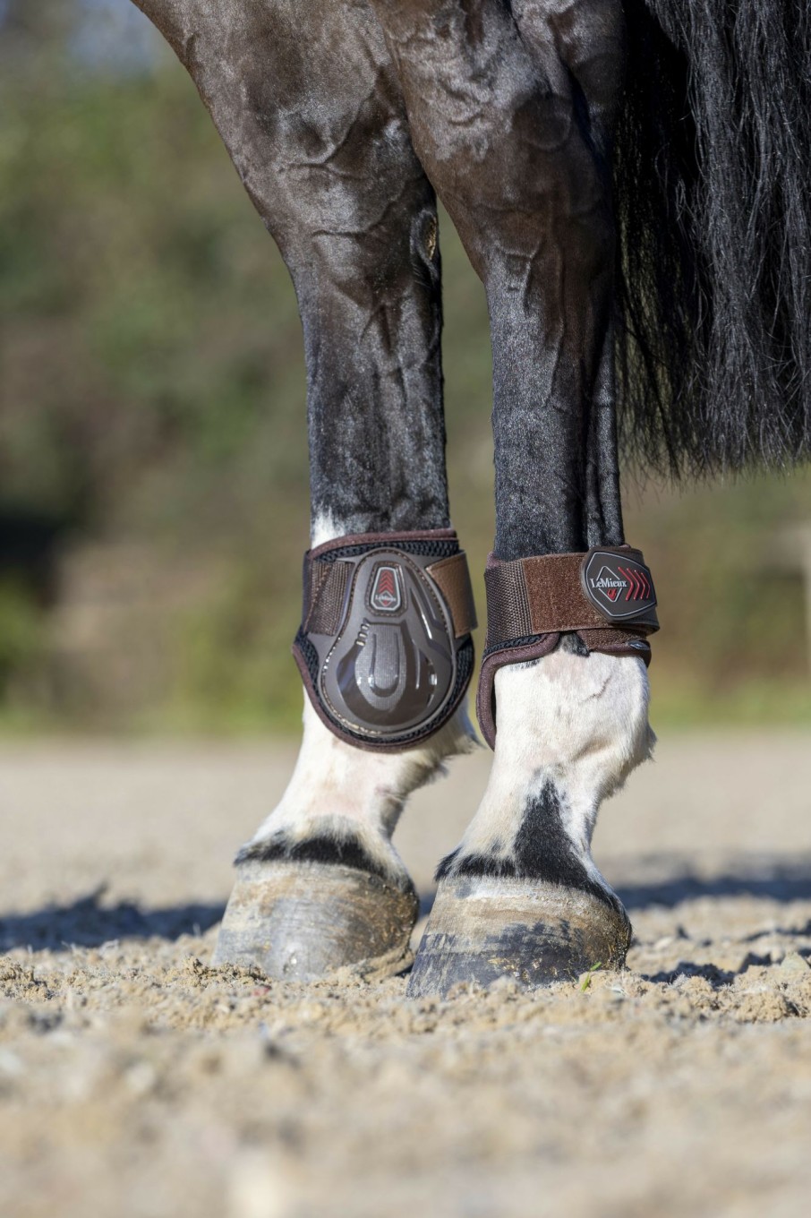 Horse LeMieux Tendon & Fetlock Boots | Derby Projump Fetlock Boot Brown