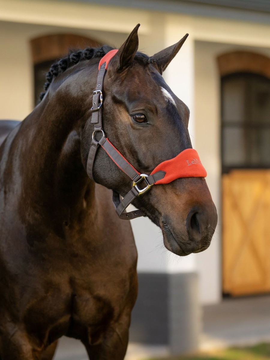 Horse LeMieux Vogue Headcollars | Vogue Headcollar & Leadrope Sienna