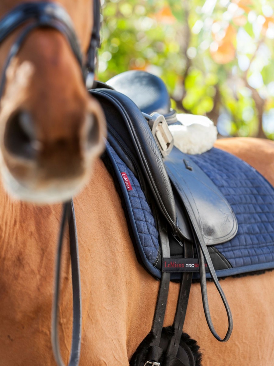 Saddle Pads LeMieux | Sensitive Dressage Square Navy Large