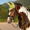 Horse LeMieux Classic Fly Hoods | Classic Fly Hood Kiwi