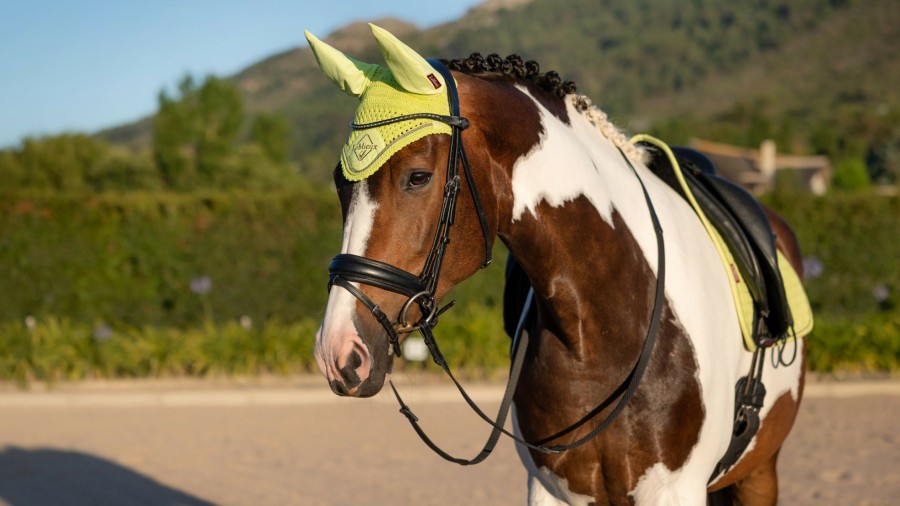 Horse LeMieux Classic Fly Hoods | Classic Fly Hood Kiwi