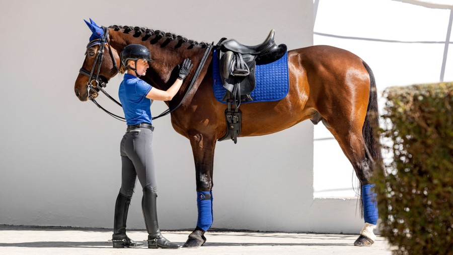 Horse LeMieux Classic Polo Bandages | Classic Polo Bandages Benetton Blue