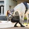 Saddle Pads LeMieux | Suede Dressage Square Grey