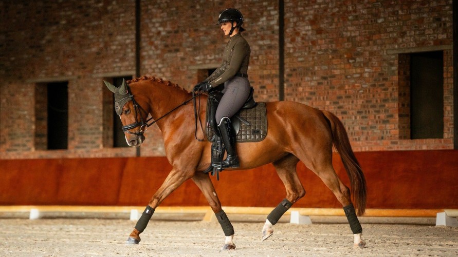 Saddle Pads LeMieux | Adour Dressage Square Oak