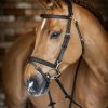 Horse LeMieux Bridles | Kudos Work Bridle Brown