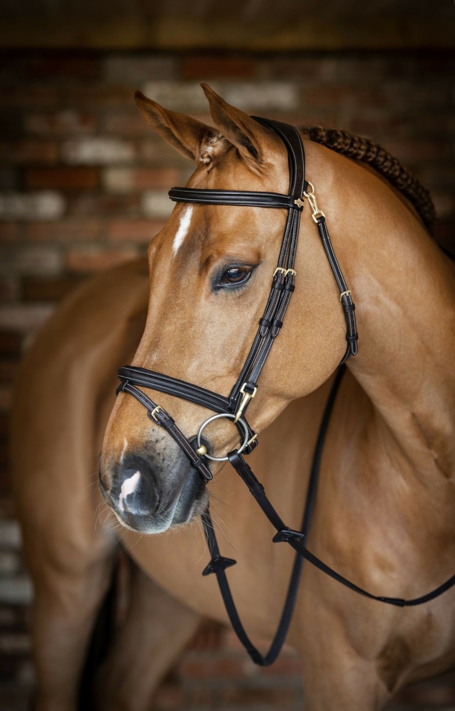 Horse LeMieux Bridles | Kudos Work Bridle Brown