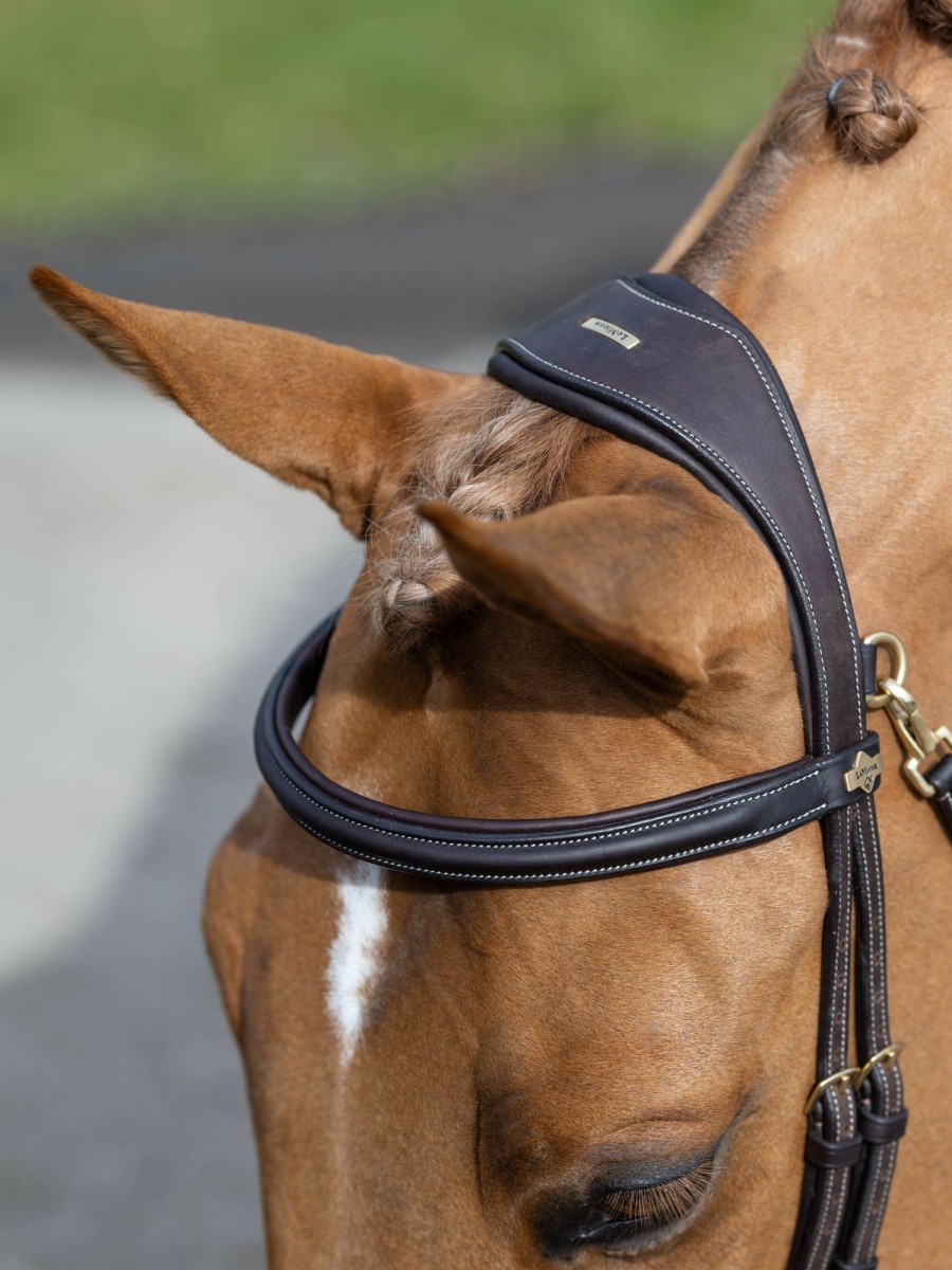 Horse LeMieux Bridles | Kudos Work Bridle Brown