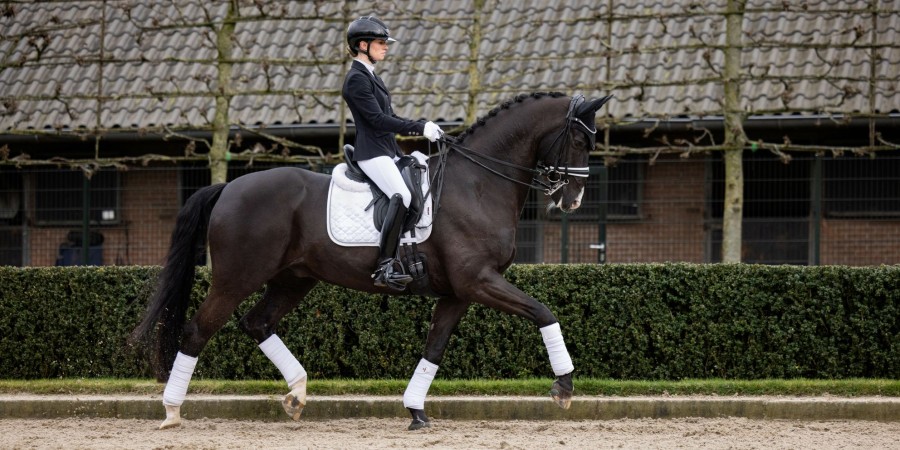 Saddle Pads LeMieux | Crystal Suede Dressage Square White