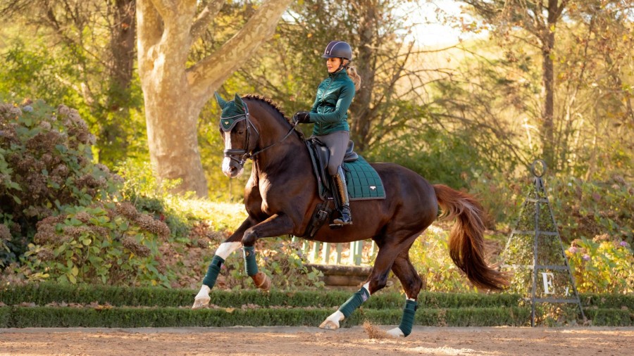 Saddle Pads LeMieux | Loire Classic Dressage Square Spruce