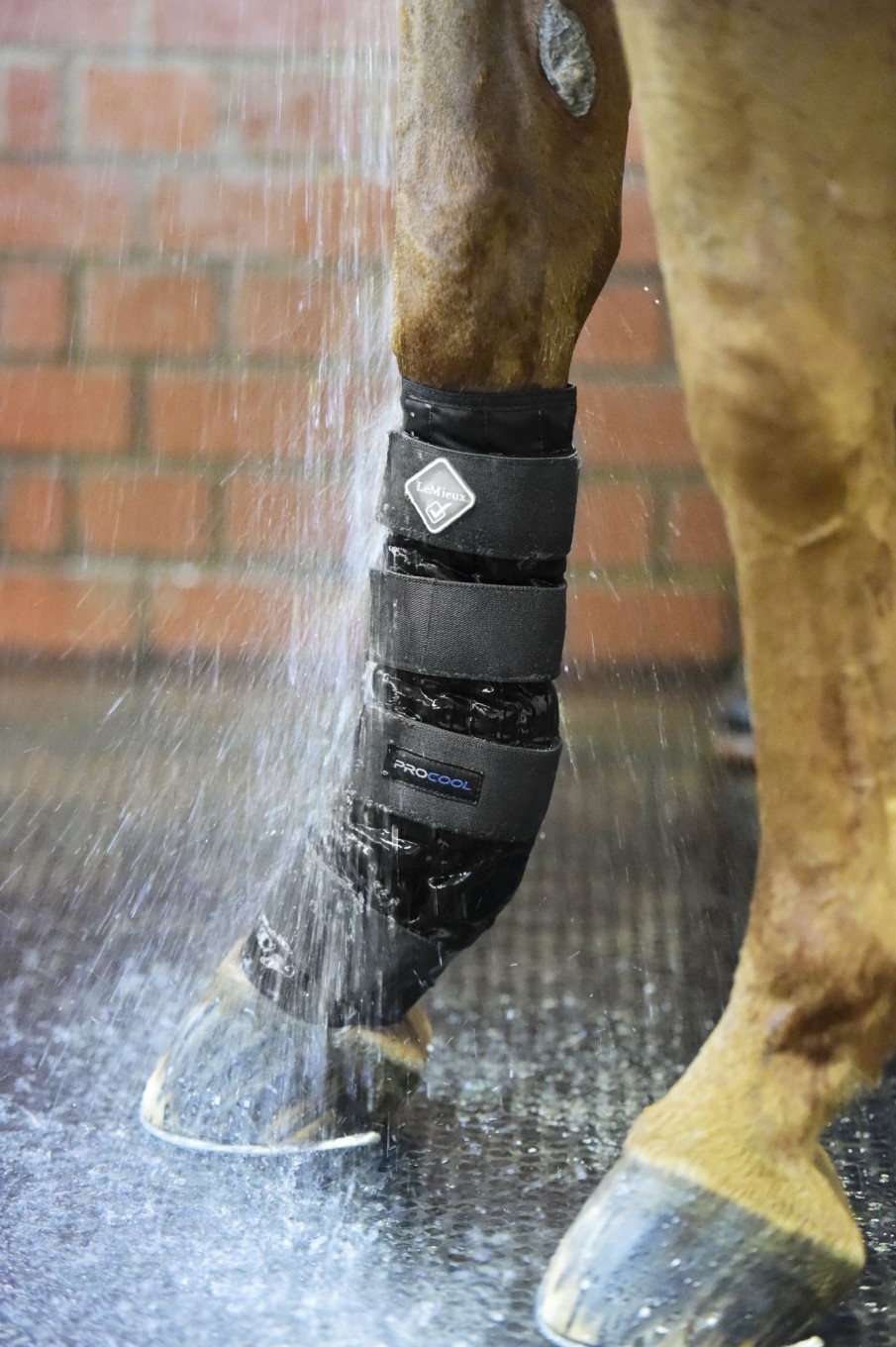 Horse LeMieux Therapy Boots | Cold Water Boots