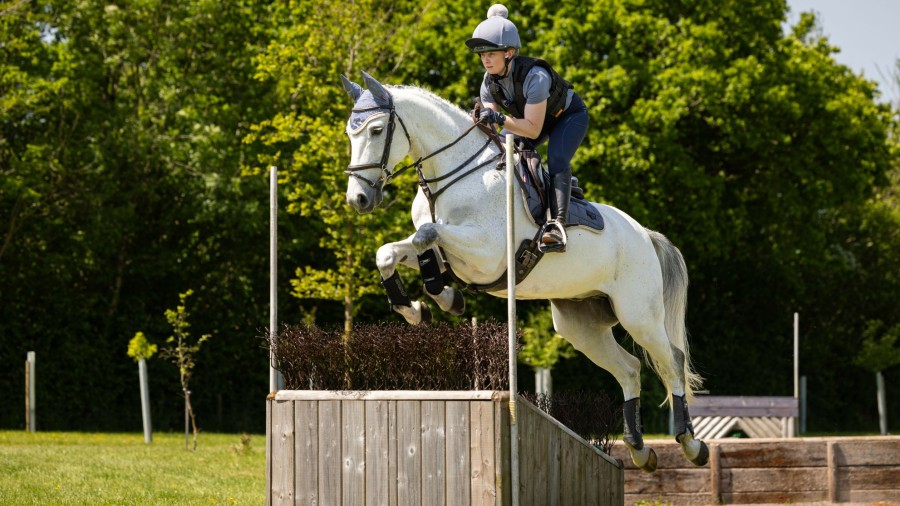 Saddle Pads LeMieux | Loire Classic Gp Square Jay Blue