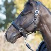 Horse LeMieux Leather Headcollars | Anatomic Headcollar Black