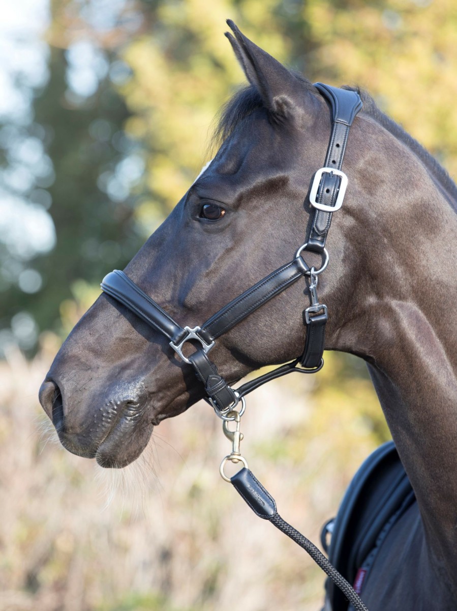 Horse LeMieux Leather Headcollars | Anatomic Headcollar Black