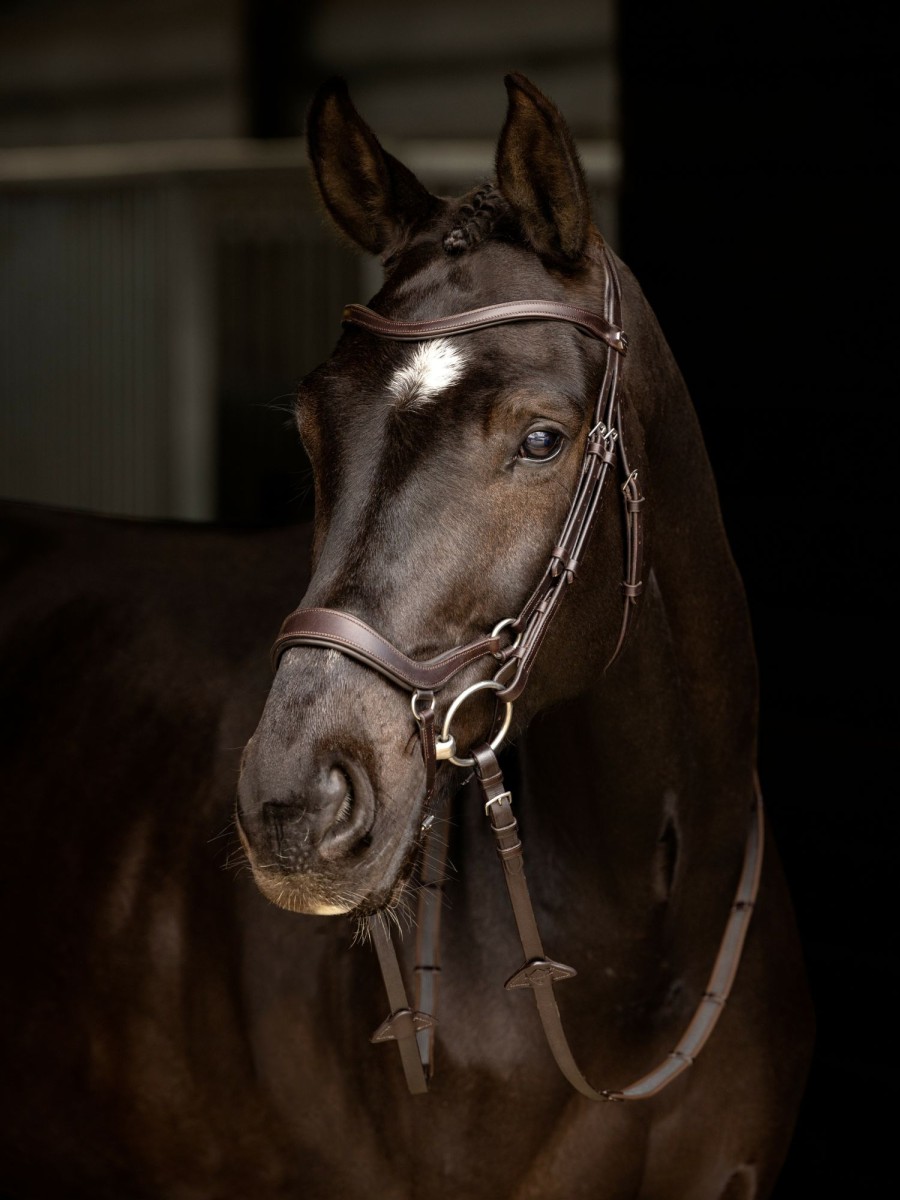 Horse LeMieux Bridles | Arika Drop Bridle Brown/Silver