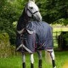 Horse LeMieux Turnout Rugs | Kudos Turnout Rug & Liner Set