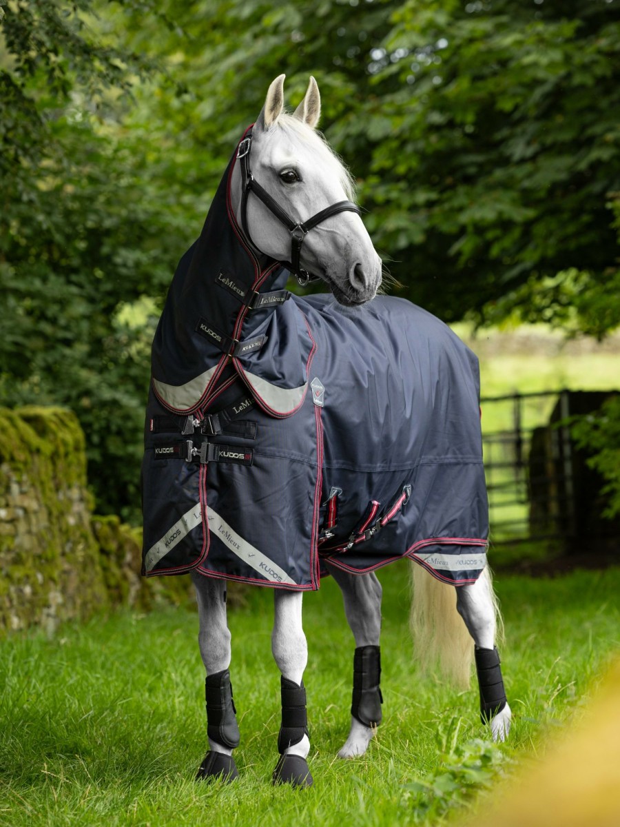 Horse LeMieux Turnout Rugs | Kudos Turnout Rug & Liner Set