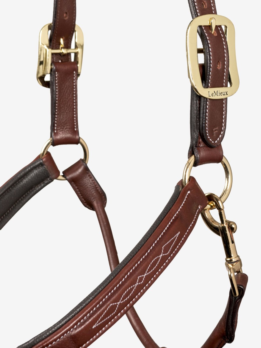 Horse LeMieux Leather Headcollars | Stitched Leather Headcollar Brown