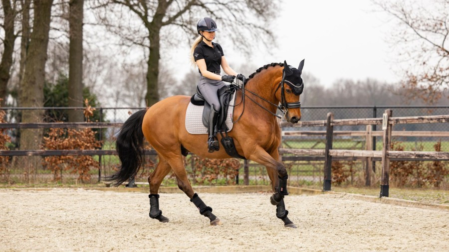 Saddle Pads LeMieux | Cotton Dressage Square Grey